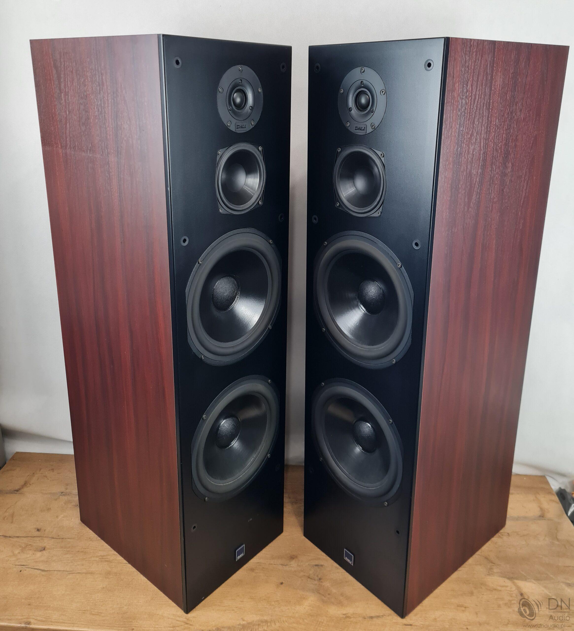 Dali 909 - obrazek 10