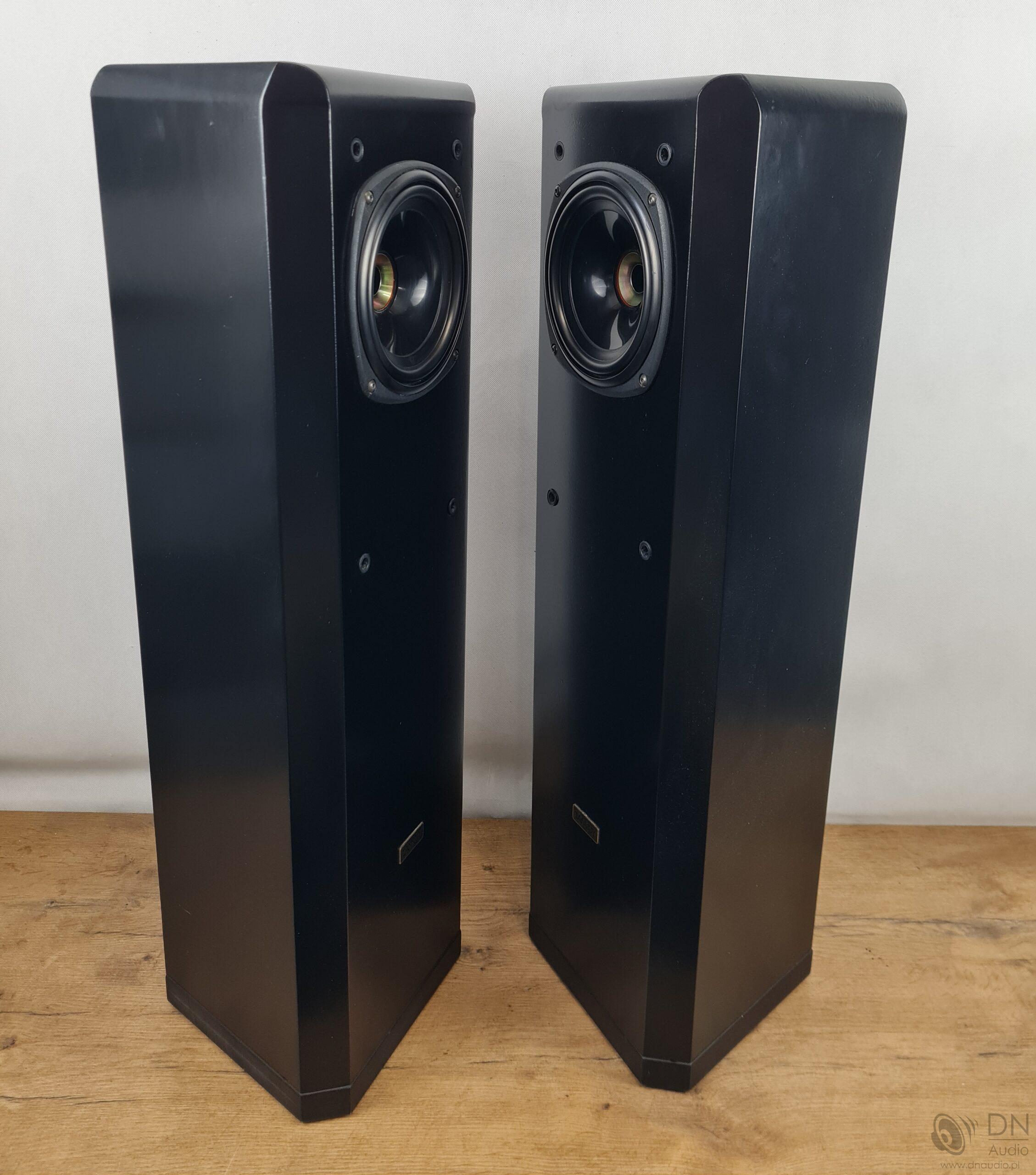 Tannoy D300 - obrazek 8