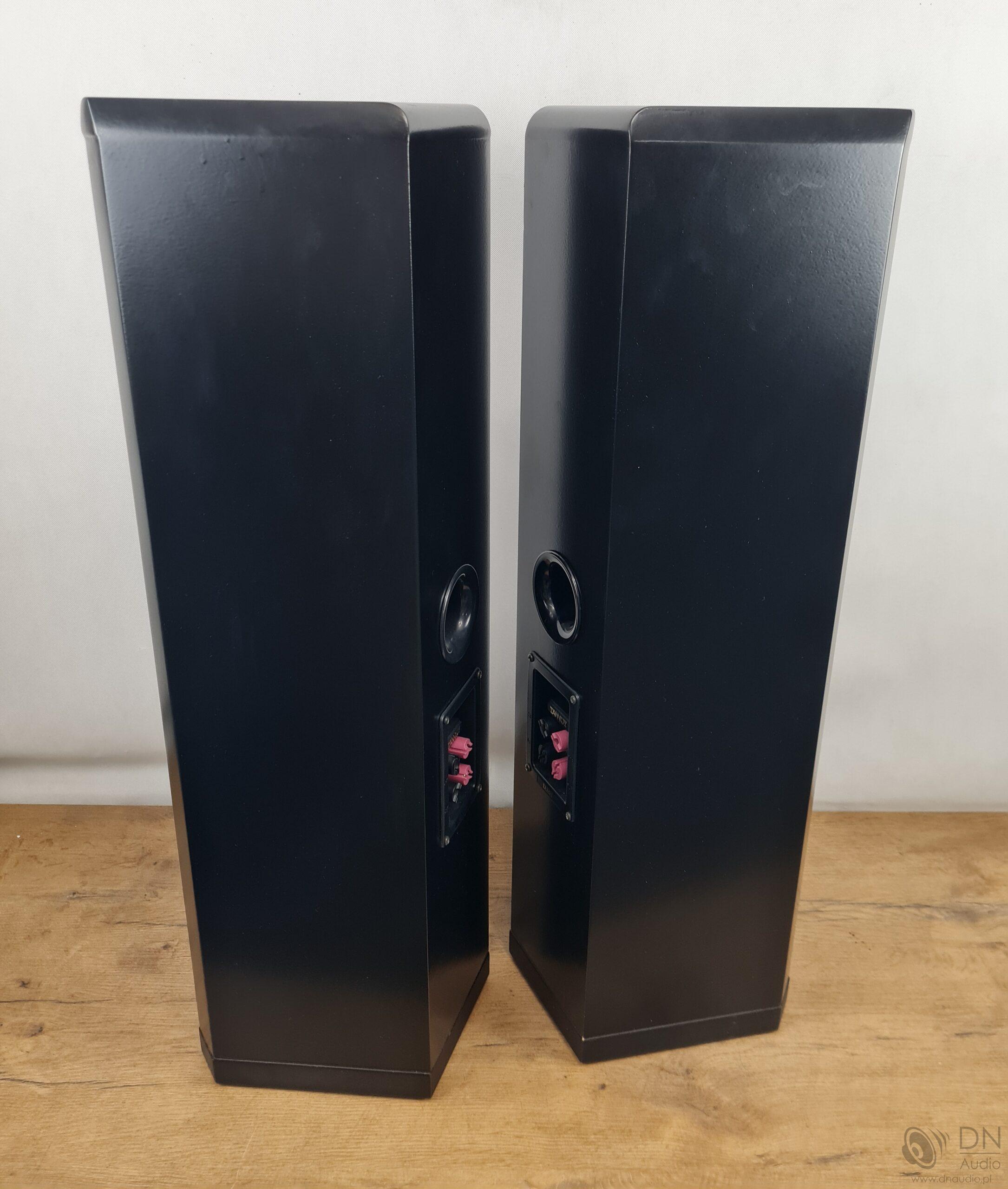 Tannoy D300 - obrazek 10
