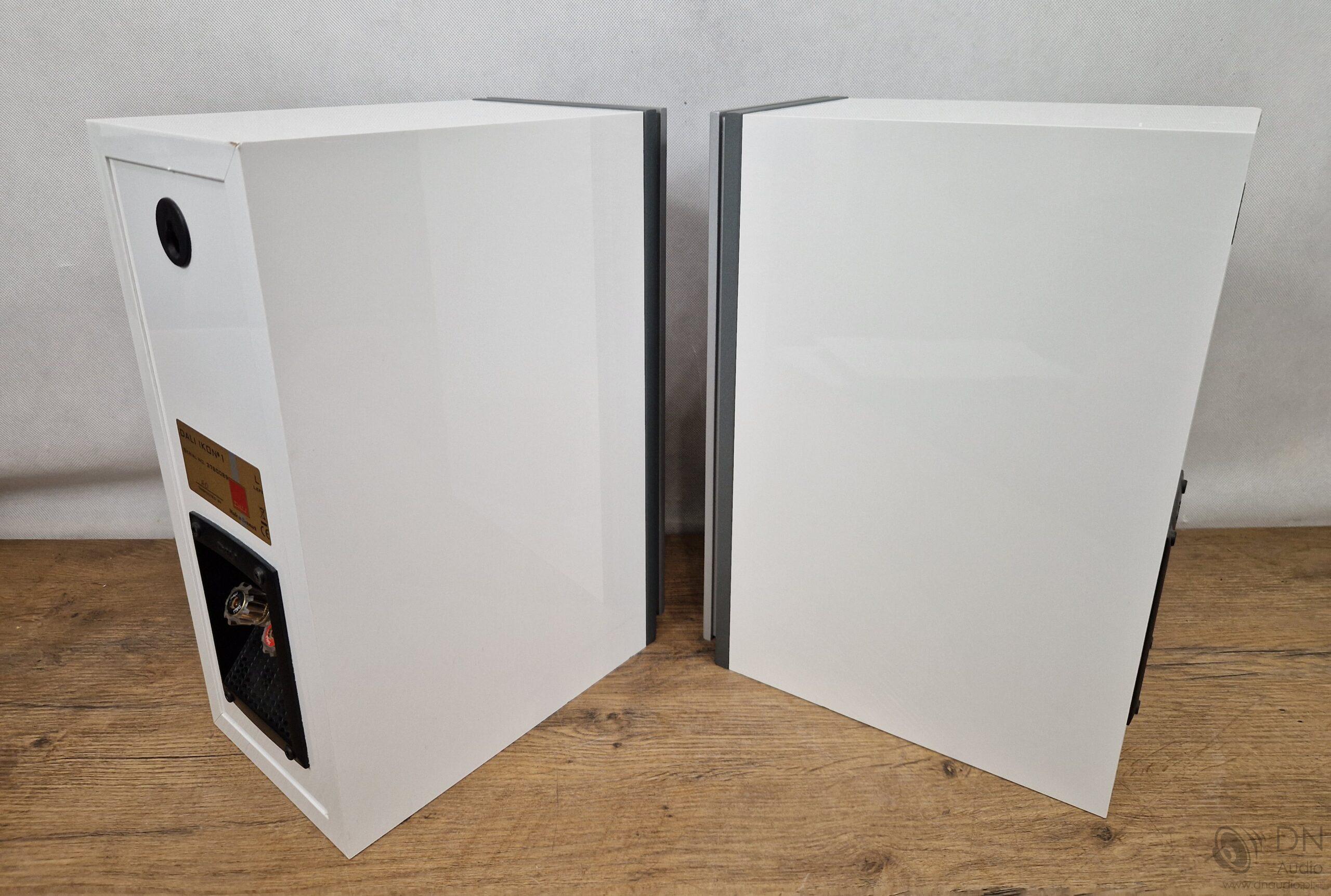 Dali Ikon 1 - obrazek 9