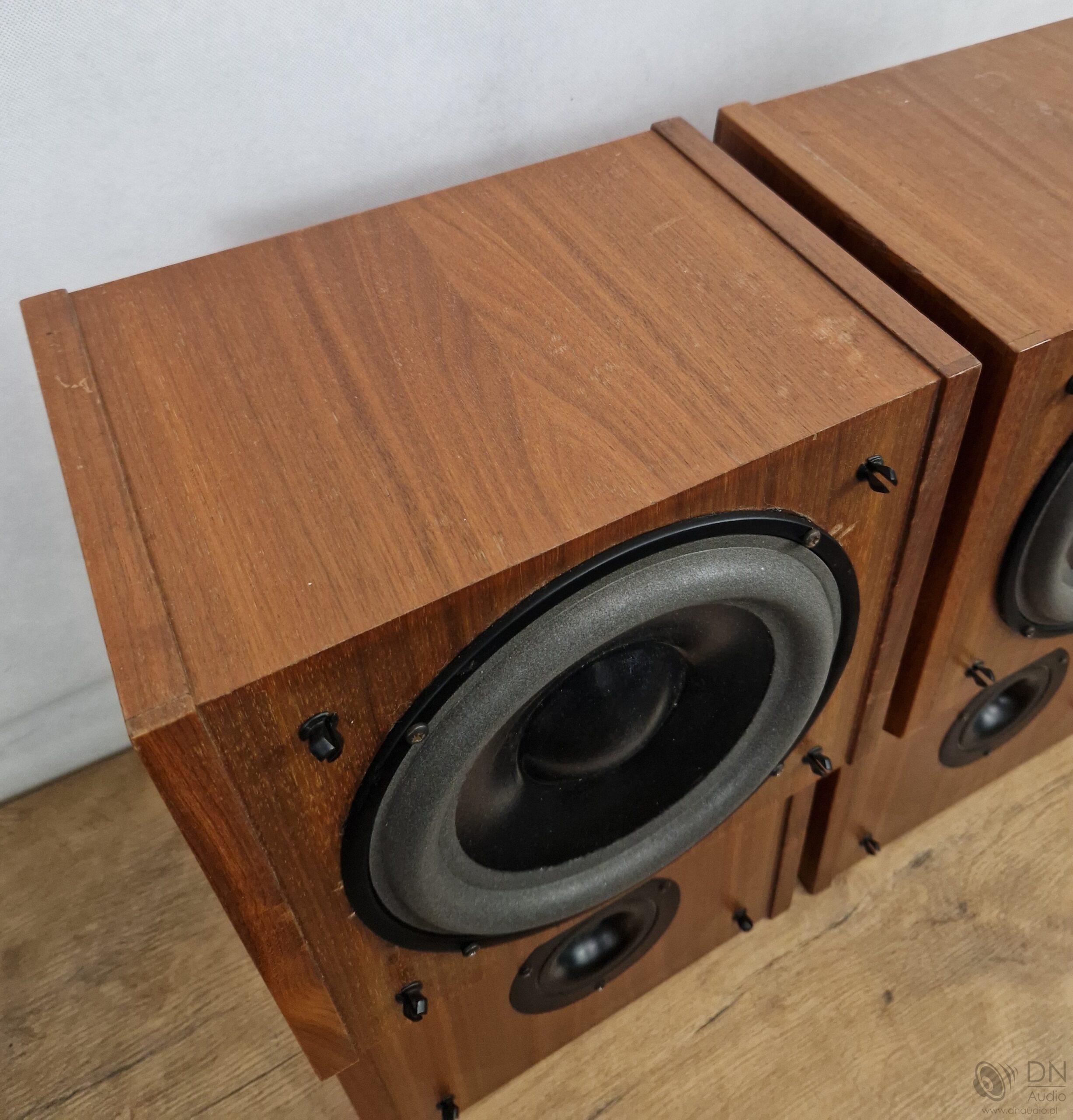 Dynaudio 100 - obrazek 6