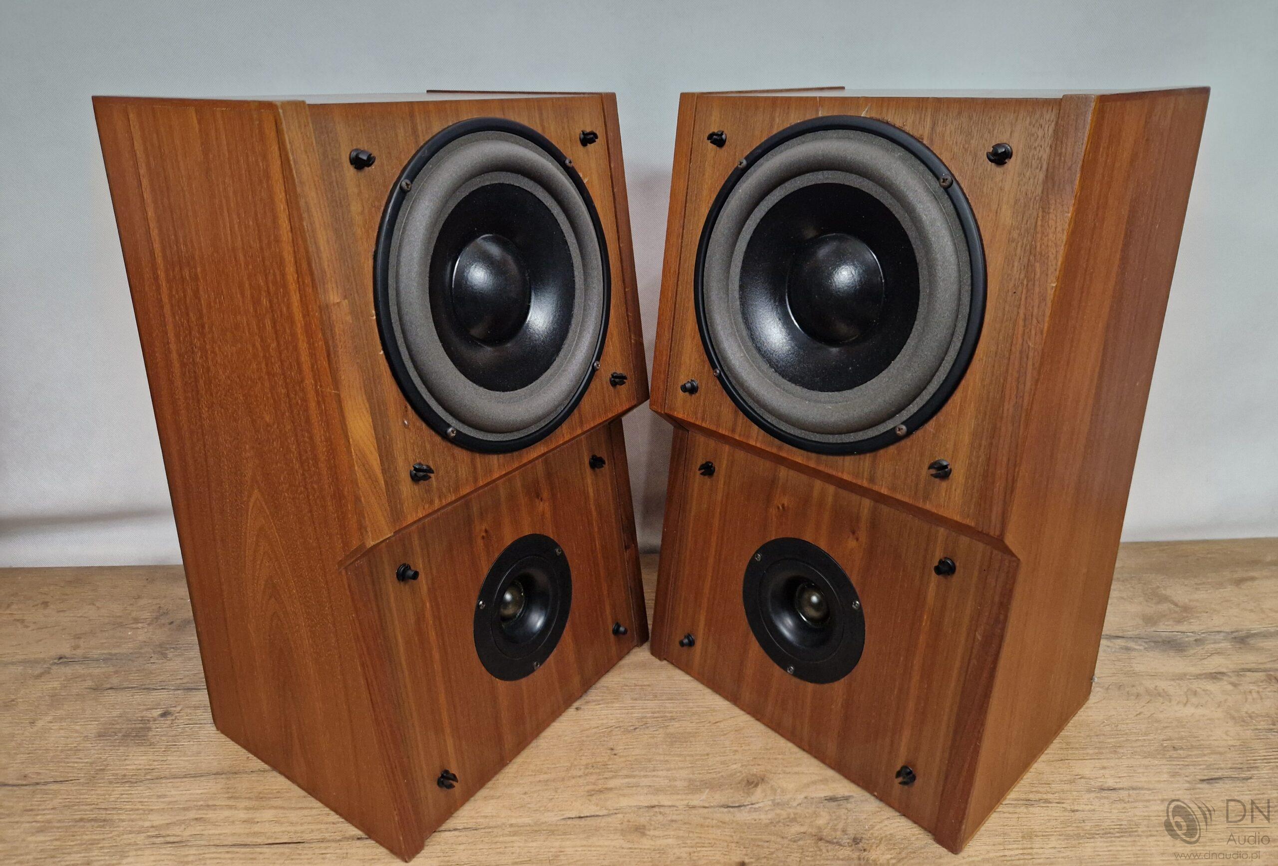 Dynaudio 100 - obrazek 8