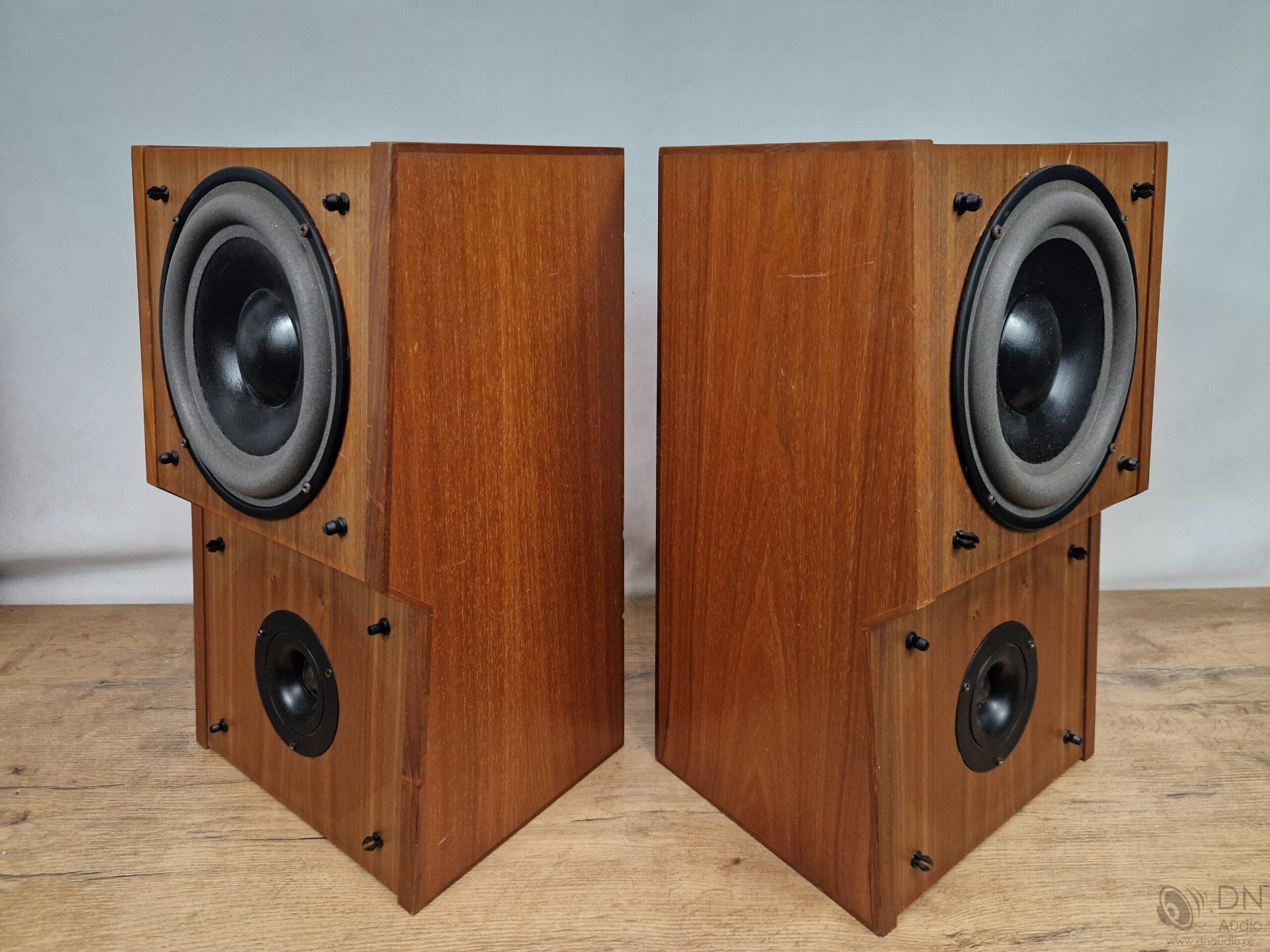 Dynaudio 100 - obrazek 9