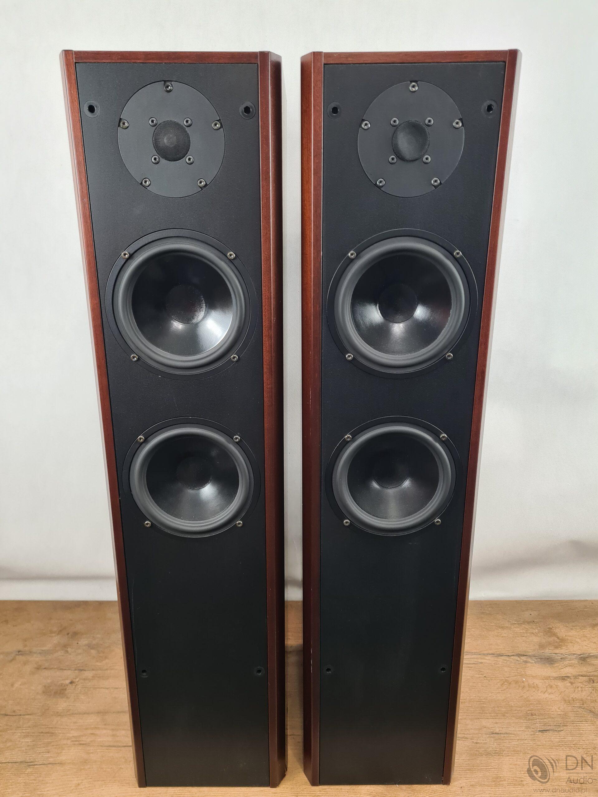 Dali 450 - obrazek 3