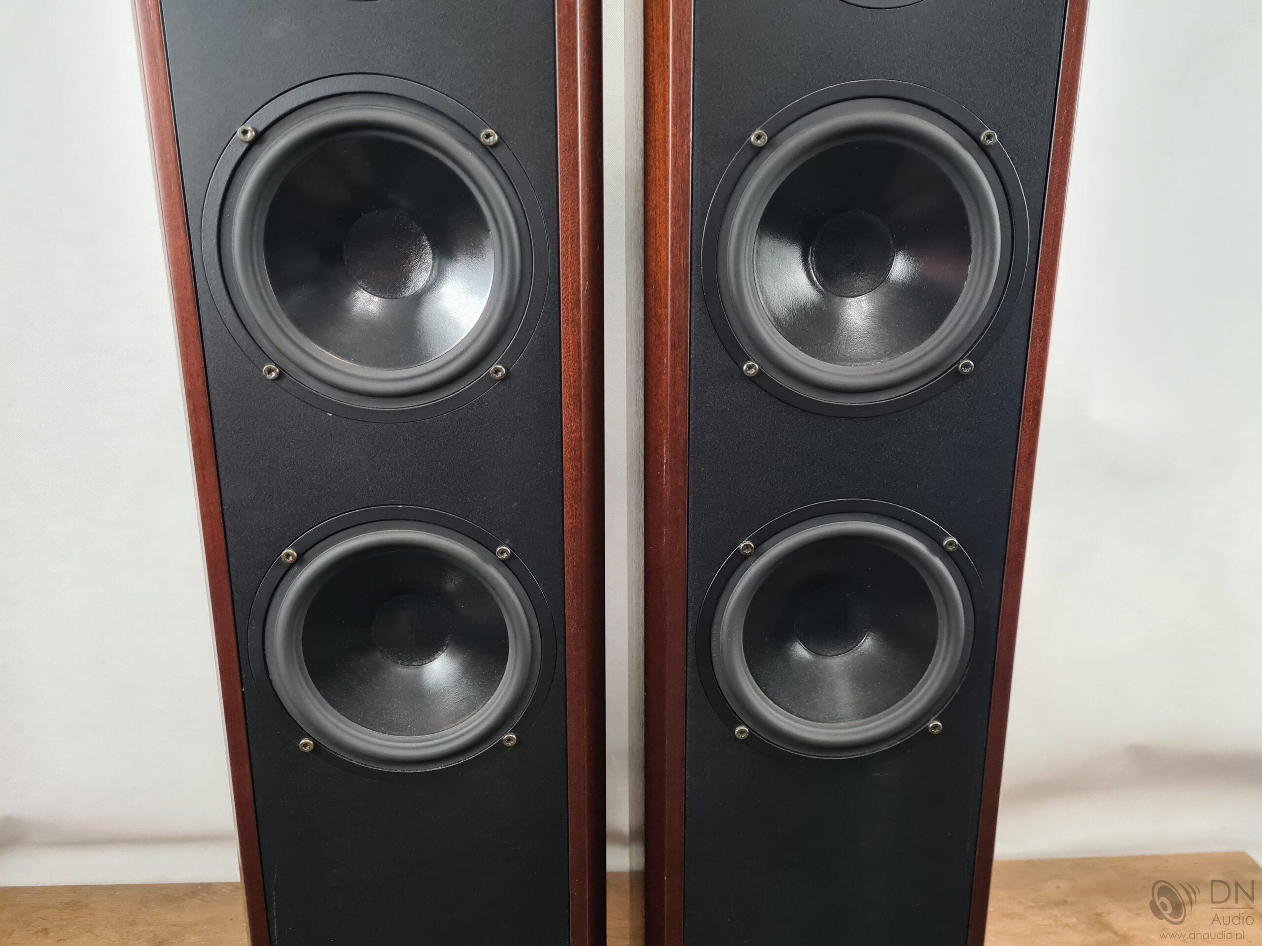 Dali 450 - obrazek 5