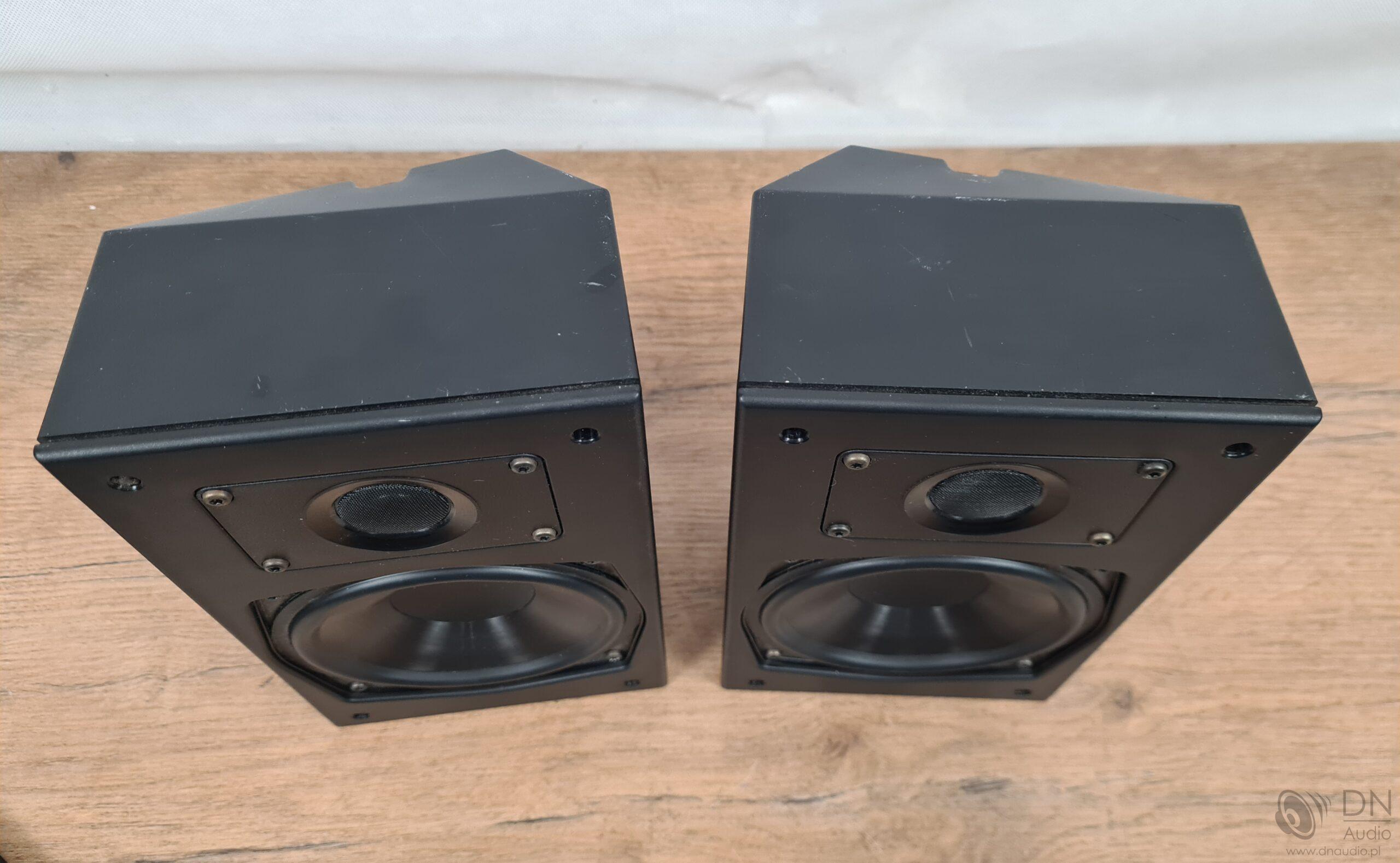 Dali SR-5 - obrazek 4