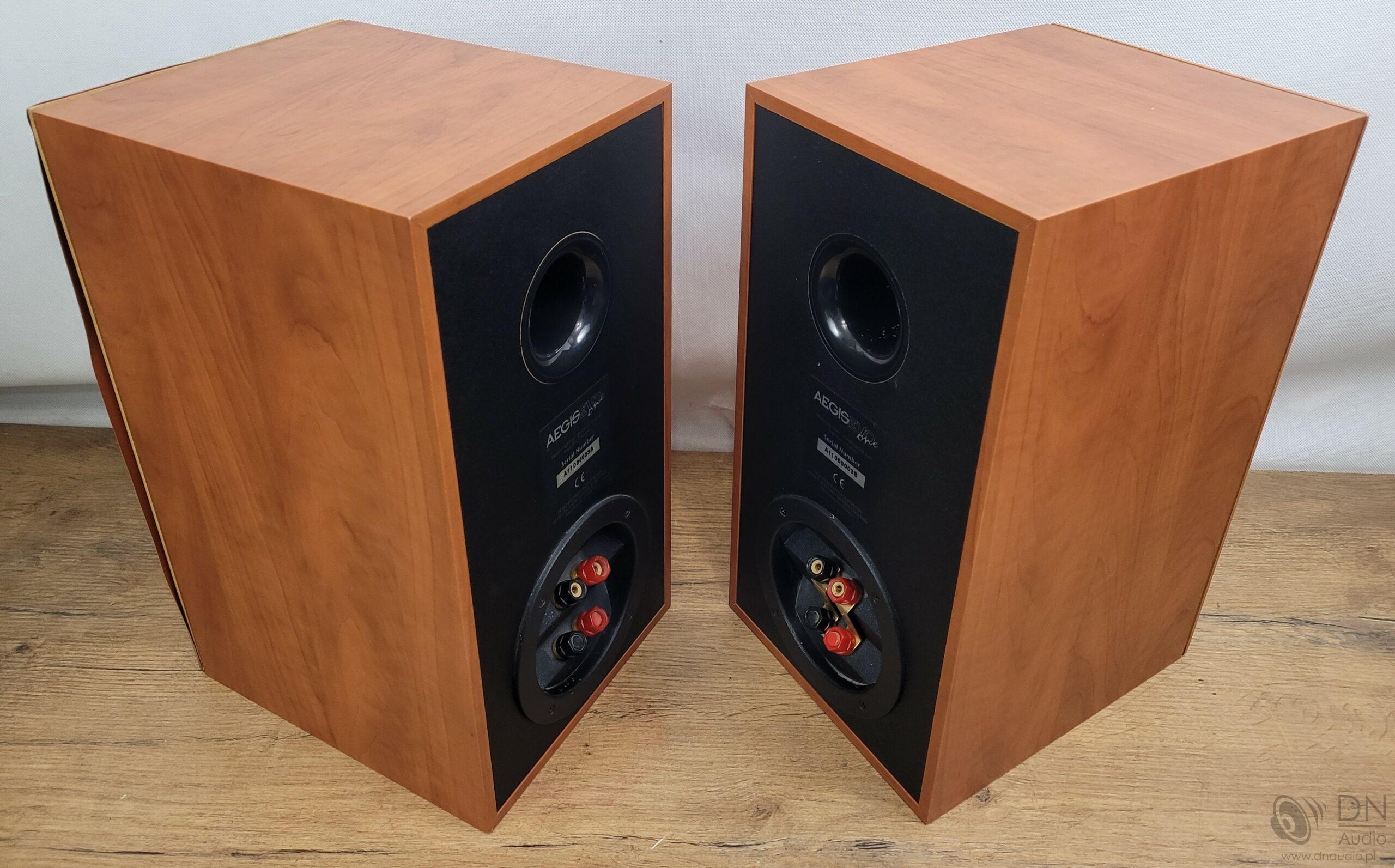 Acoustic Energy Aegis Evo One - obrazek 7