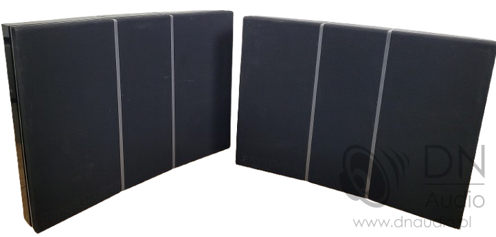 Bang&Olufsen B&O Beovox RL 6000