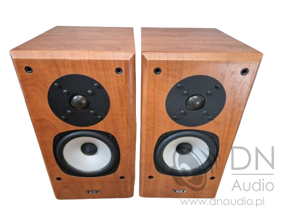 Acoustic Energy Aegis Evo One