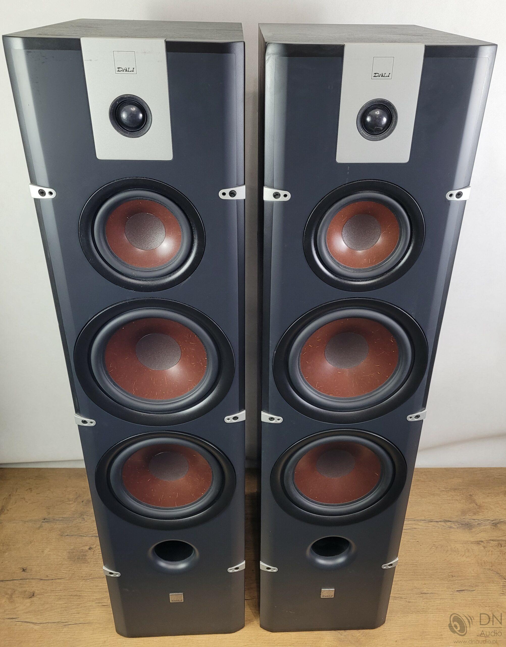 Dali Lektor 8 - obrazek 2