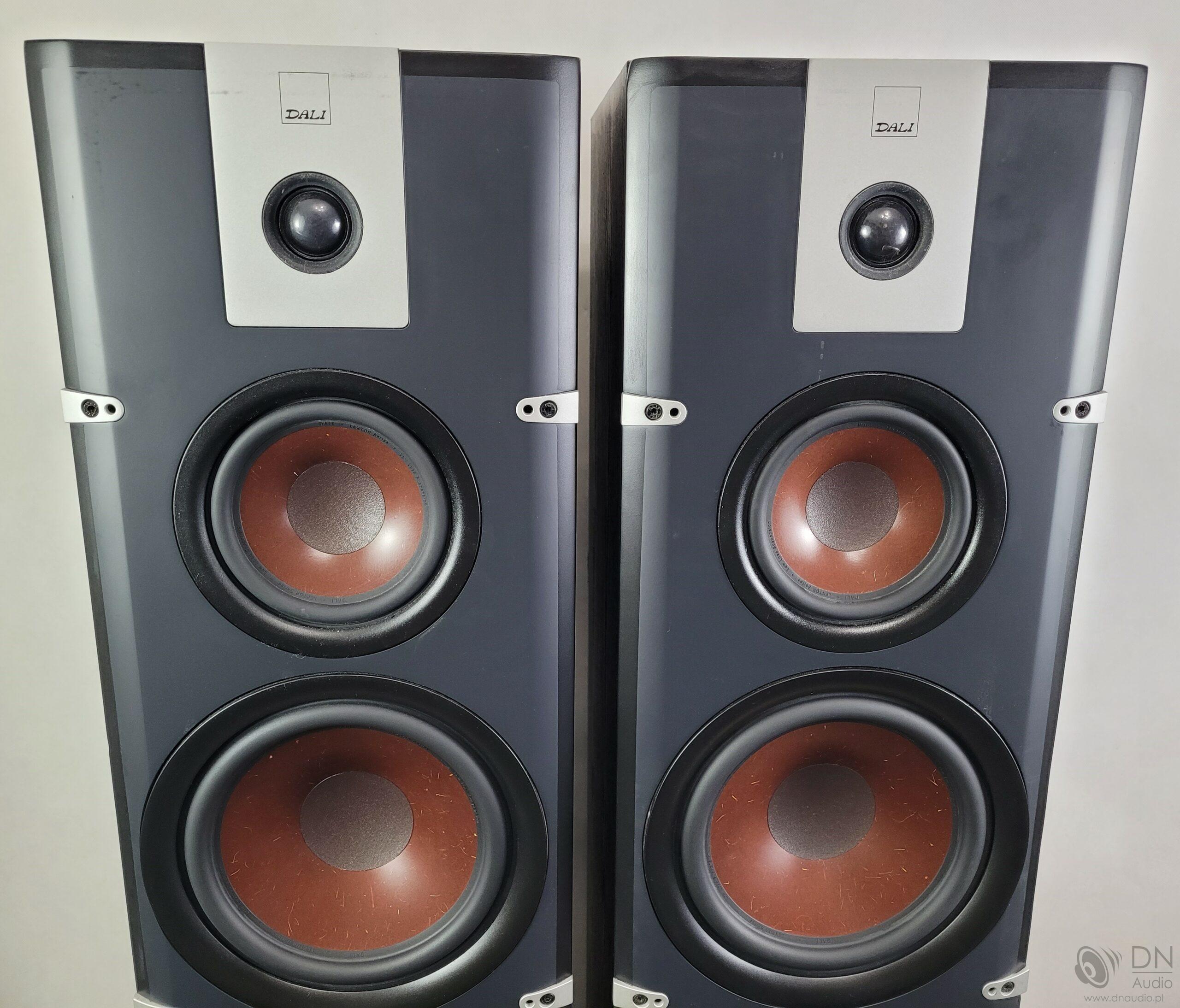 Dali Lektor 8 - obrazek 8