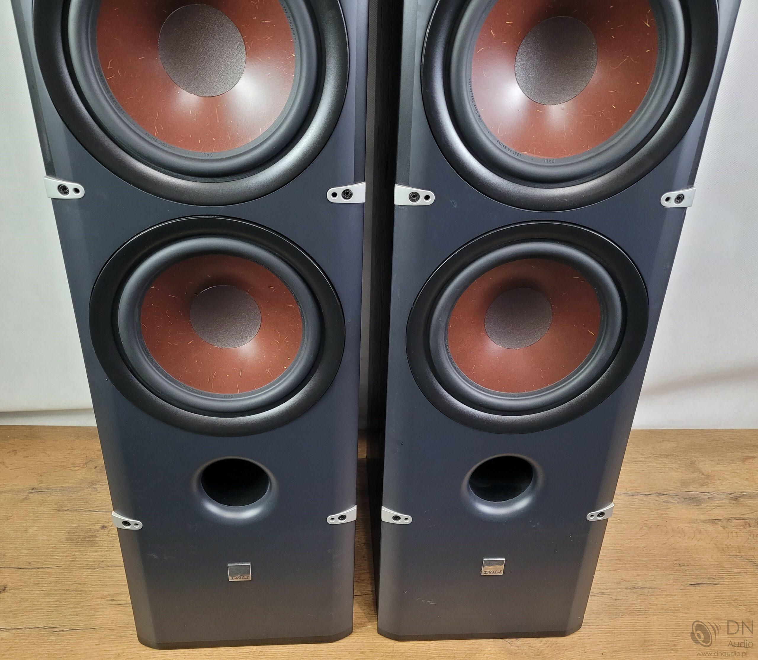 Dali Lektor 8 - obrazek 9