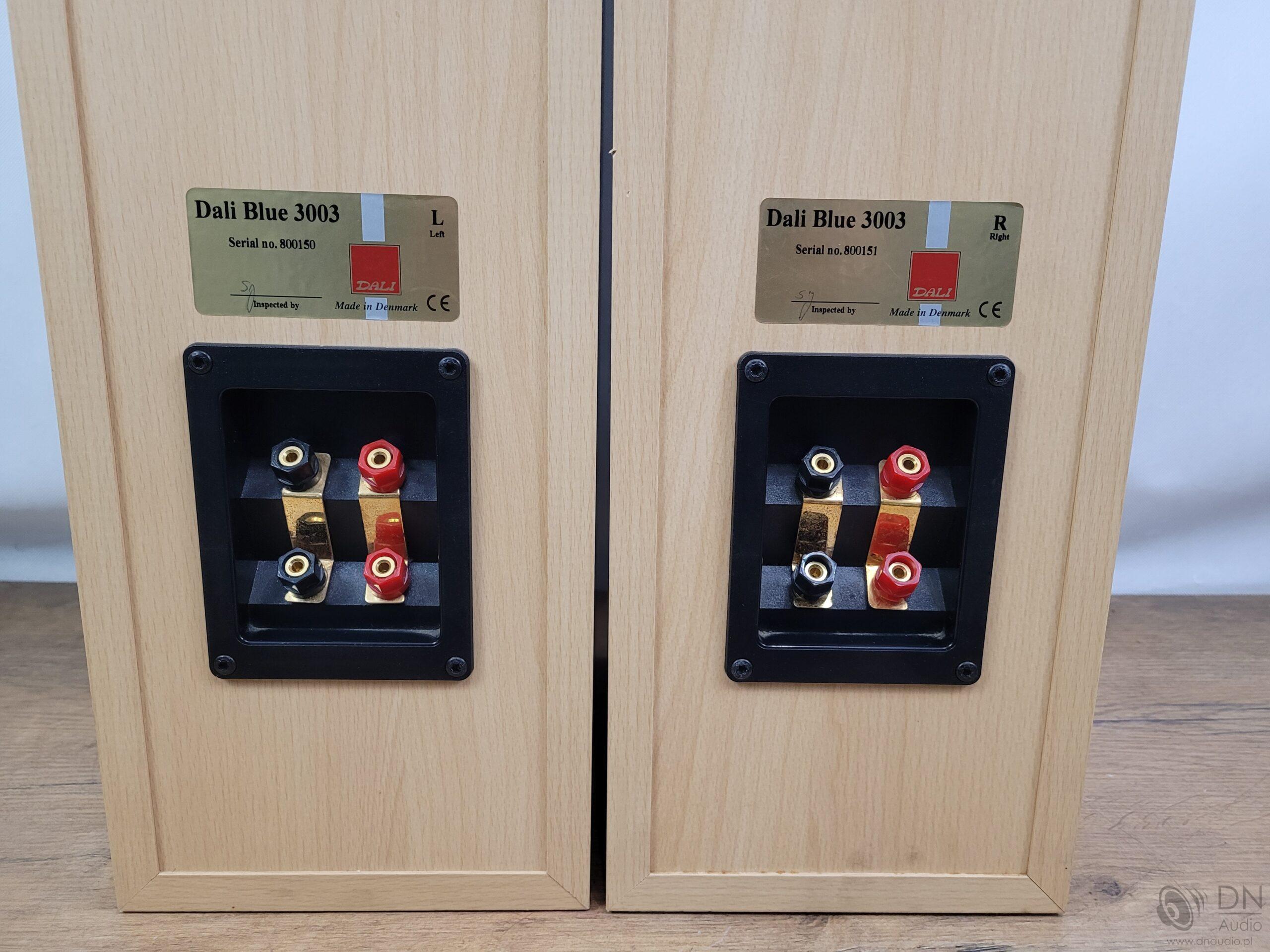 Dali Blue 3003 - obrazek 14