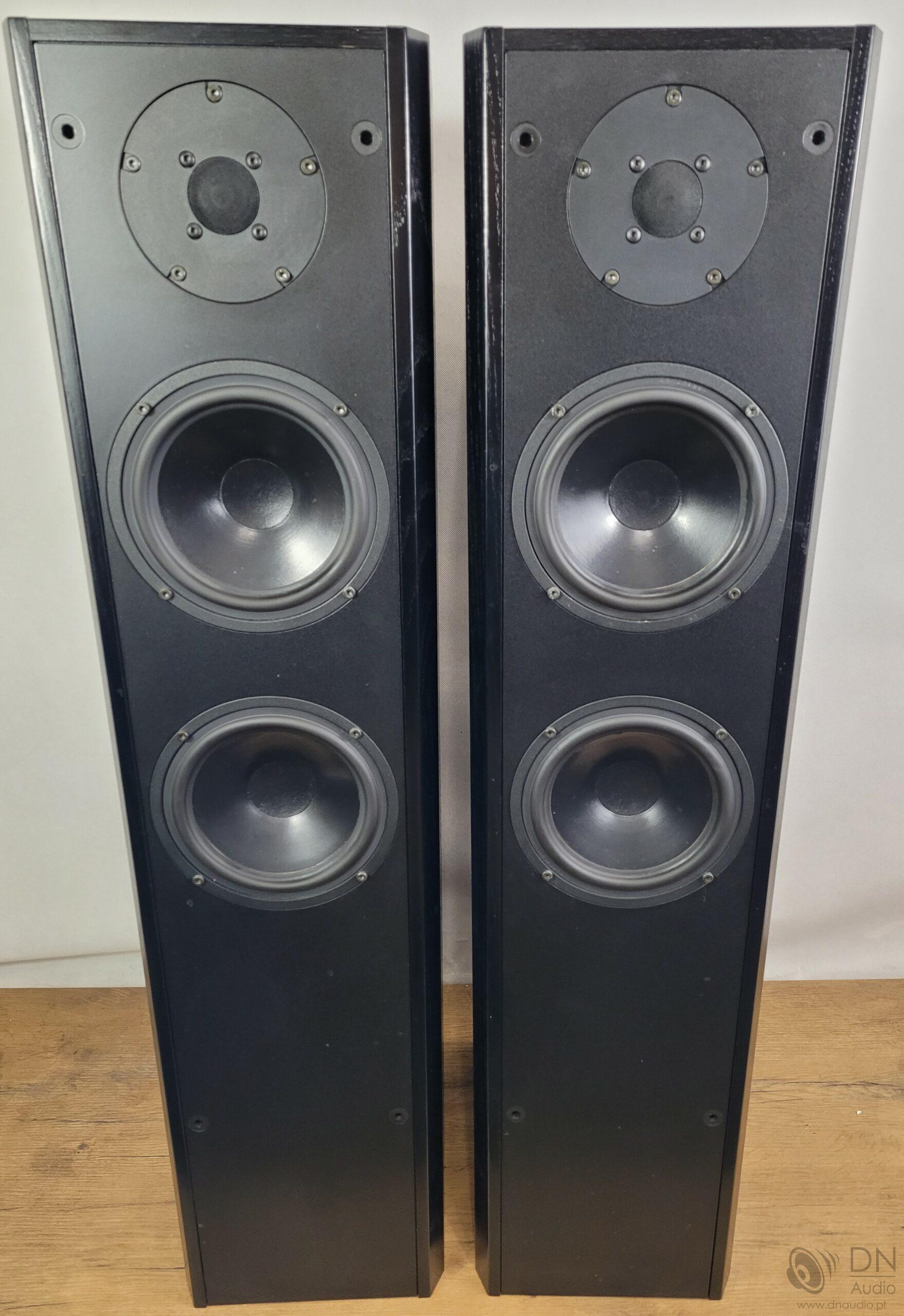 Dali 450 - obrazek 2