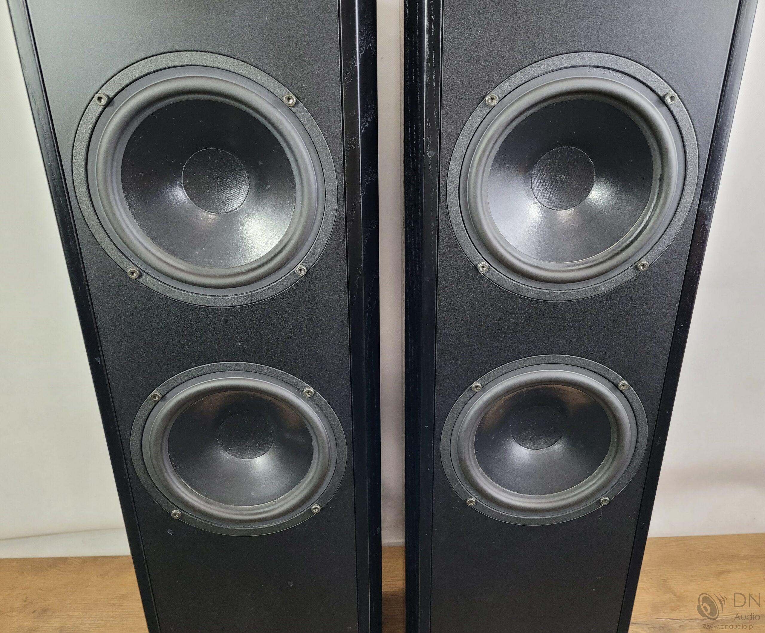 Dali 450 - obrazek 5