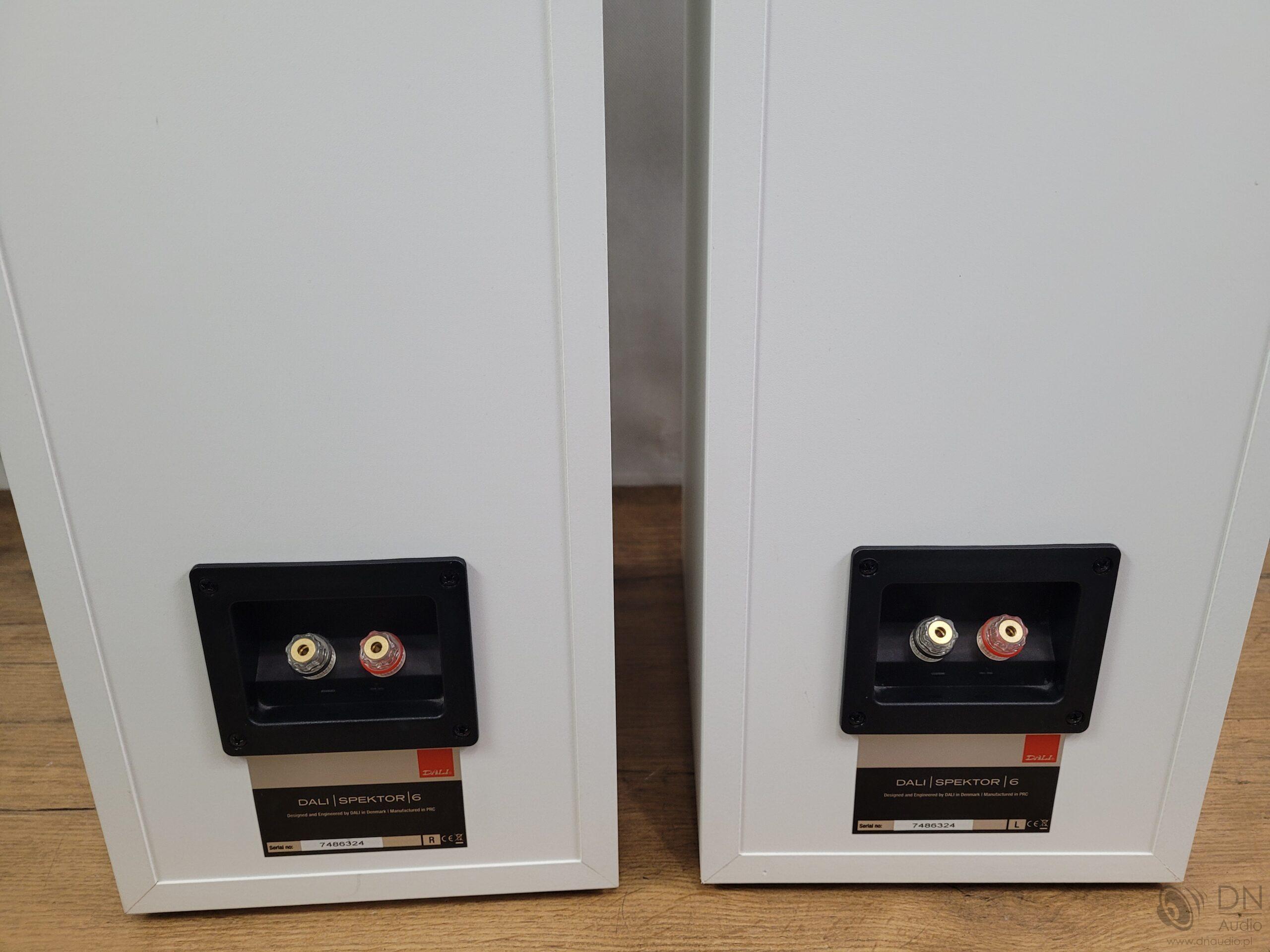 Dali Spektor 6 - obrazek 12