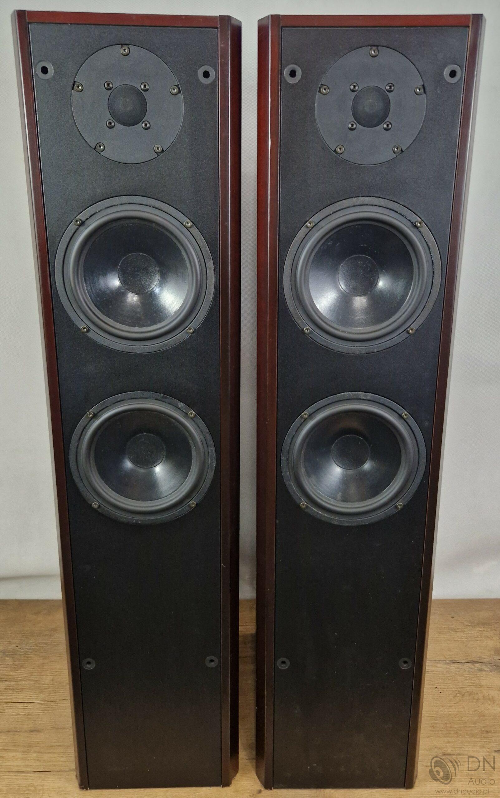 Dali 450 - obrazek 4