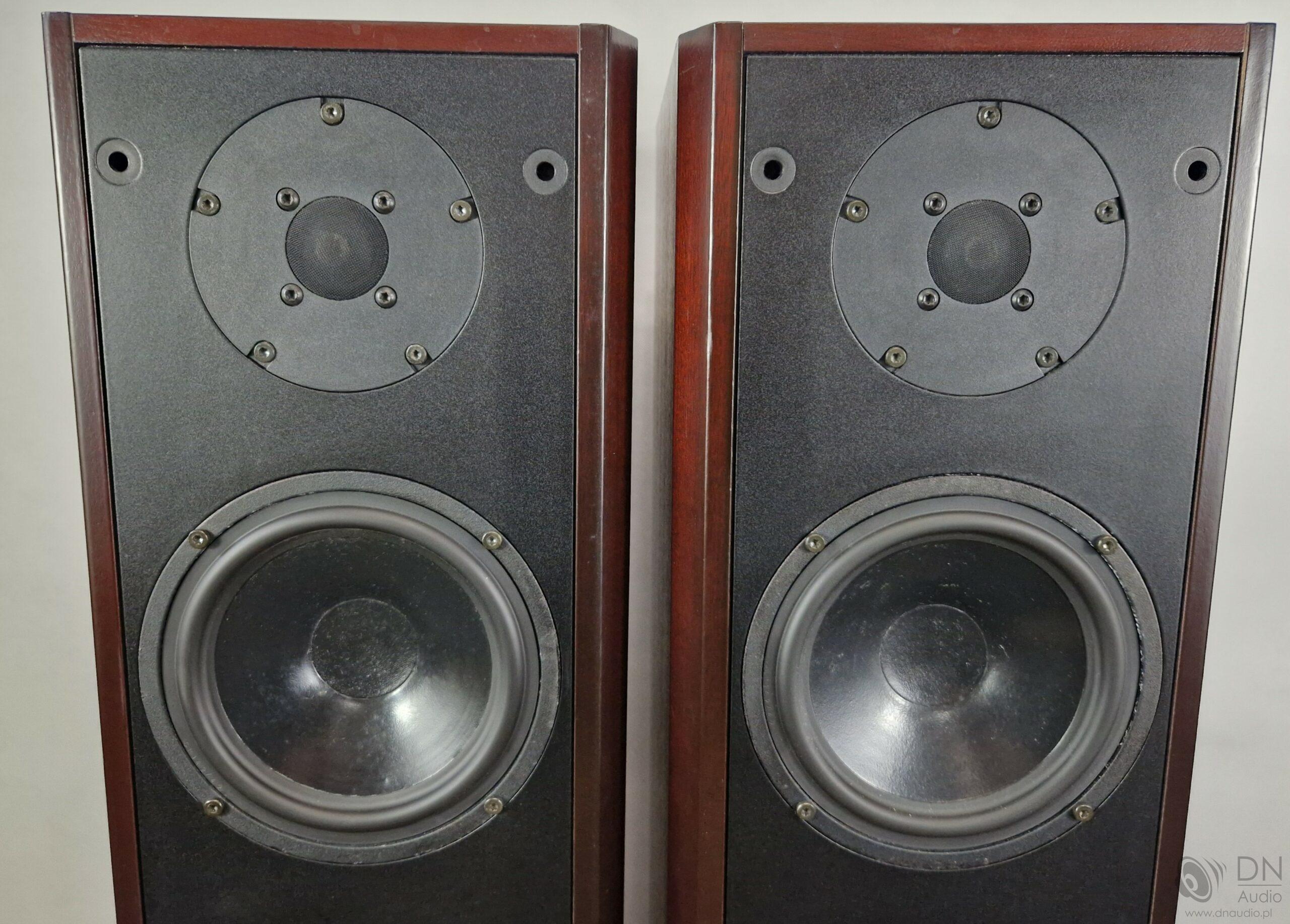 Dali 450 - obrazek 3