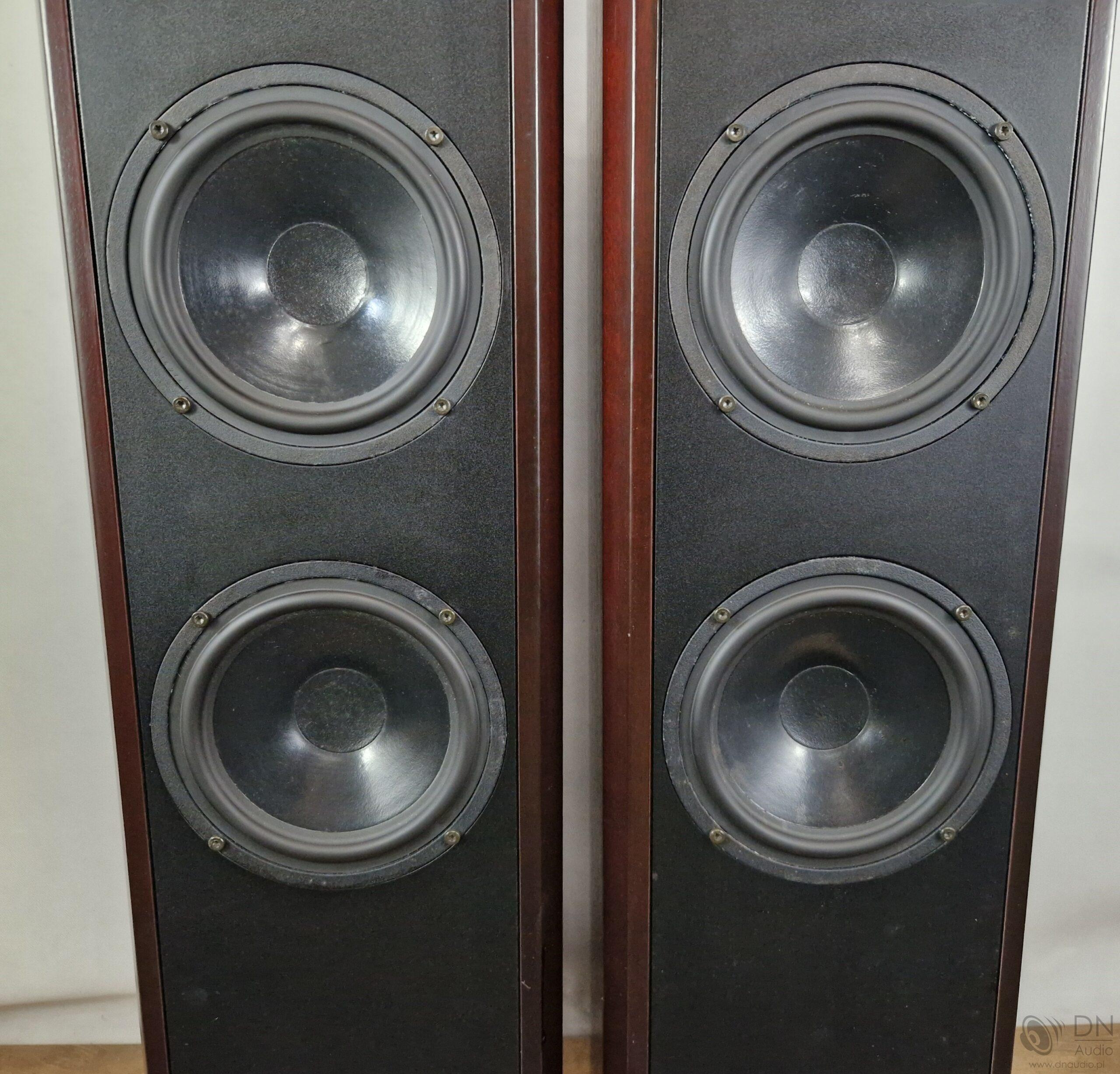 Dali 450 - obrazek 5