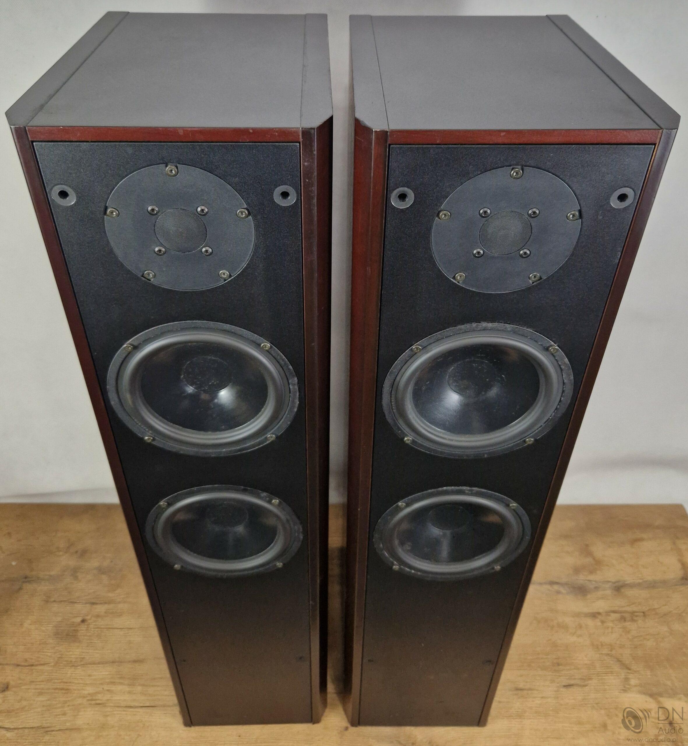 Dali 450 - obrazek 2