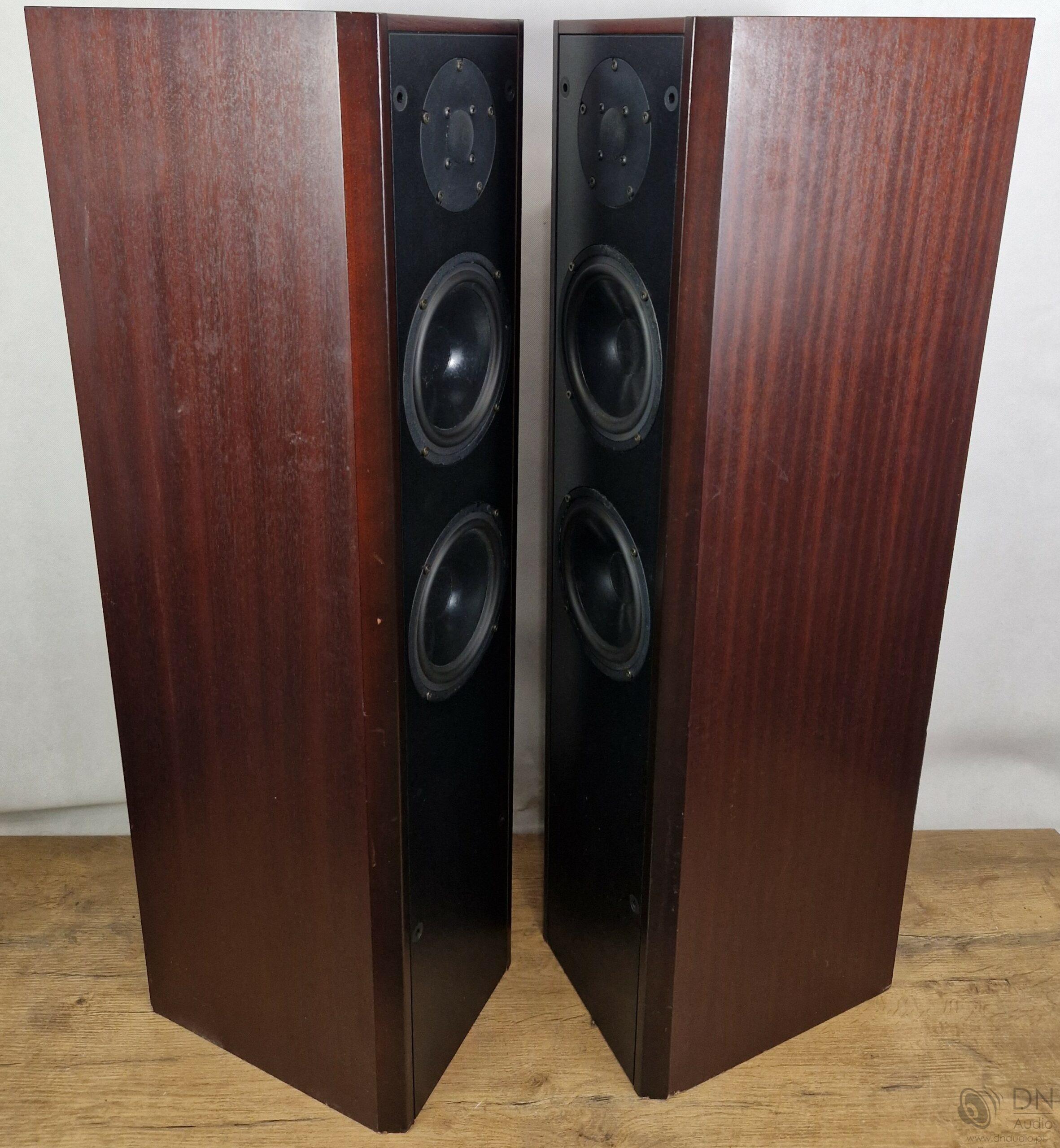 Dali 450 - obrazek 9