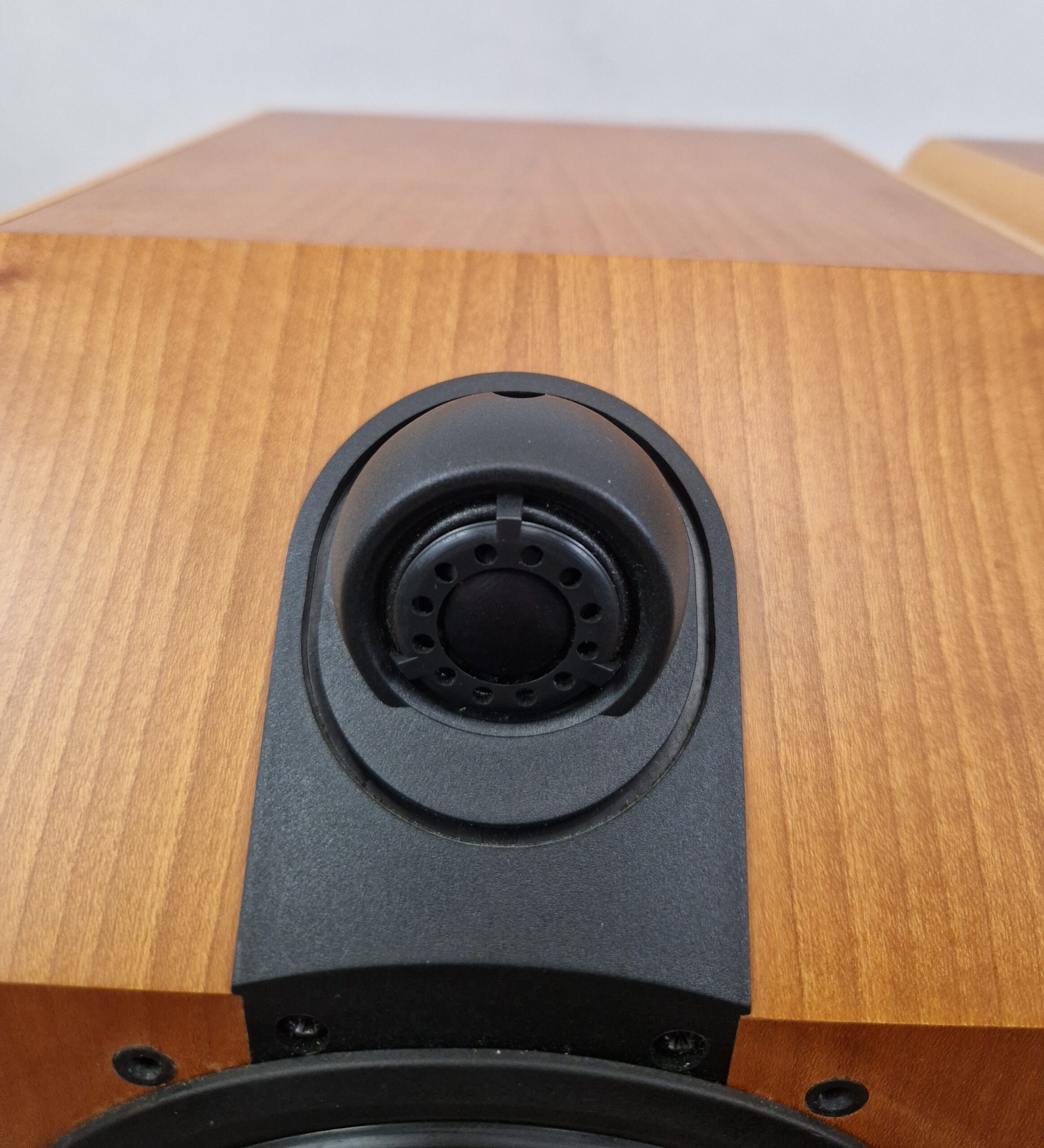 B&W CDM1 SE - obrazek 10