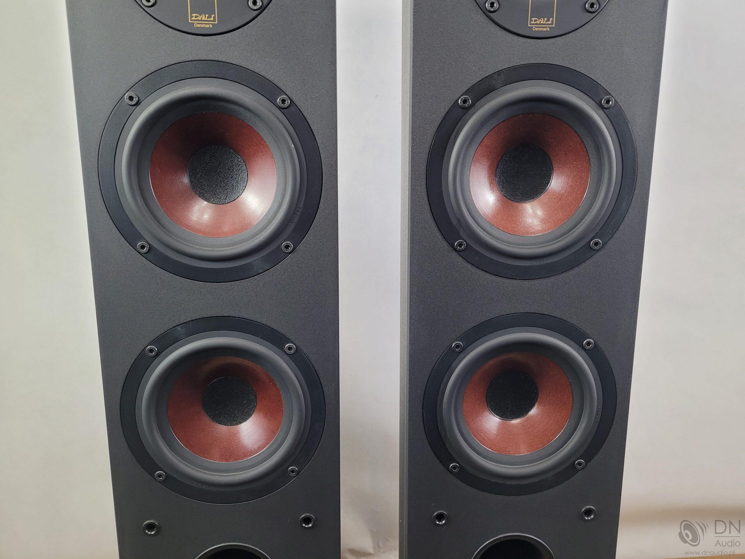 Dali Suite 1.7 - obrazek 8