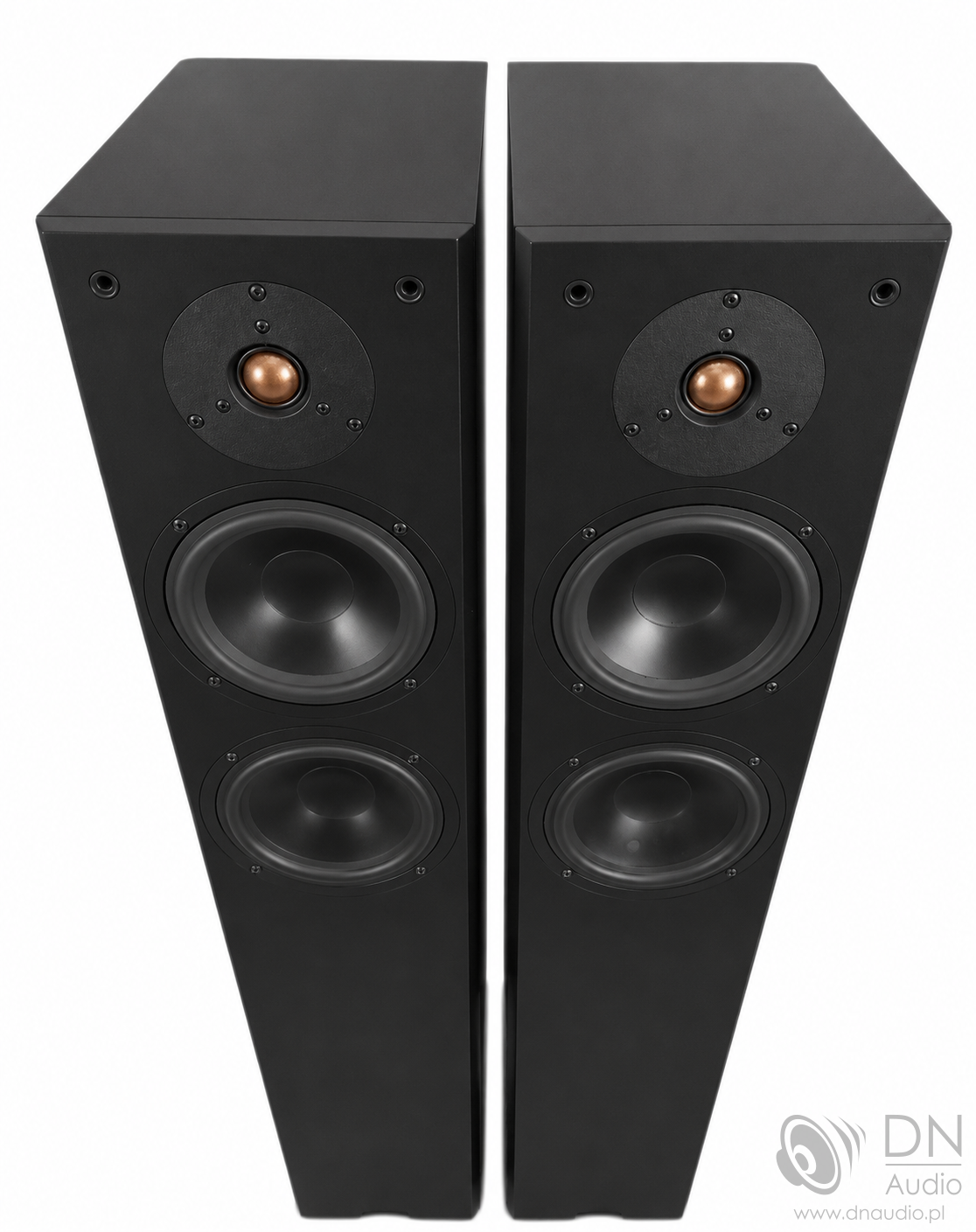 Tannoy Revolution R3