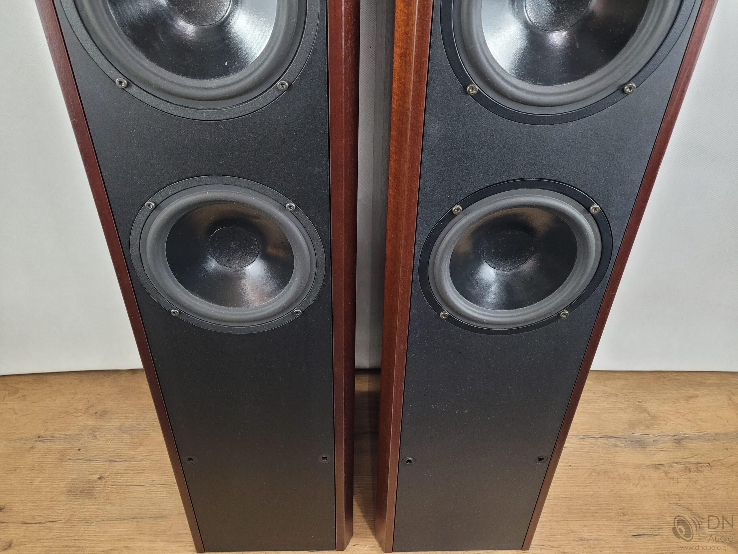 Dali 450 - obrazek 6
