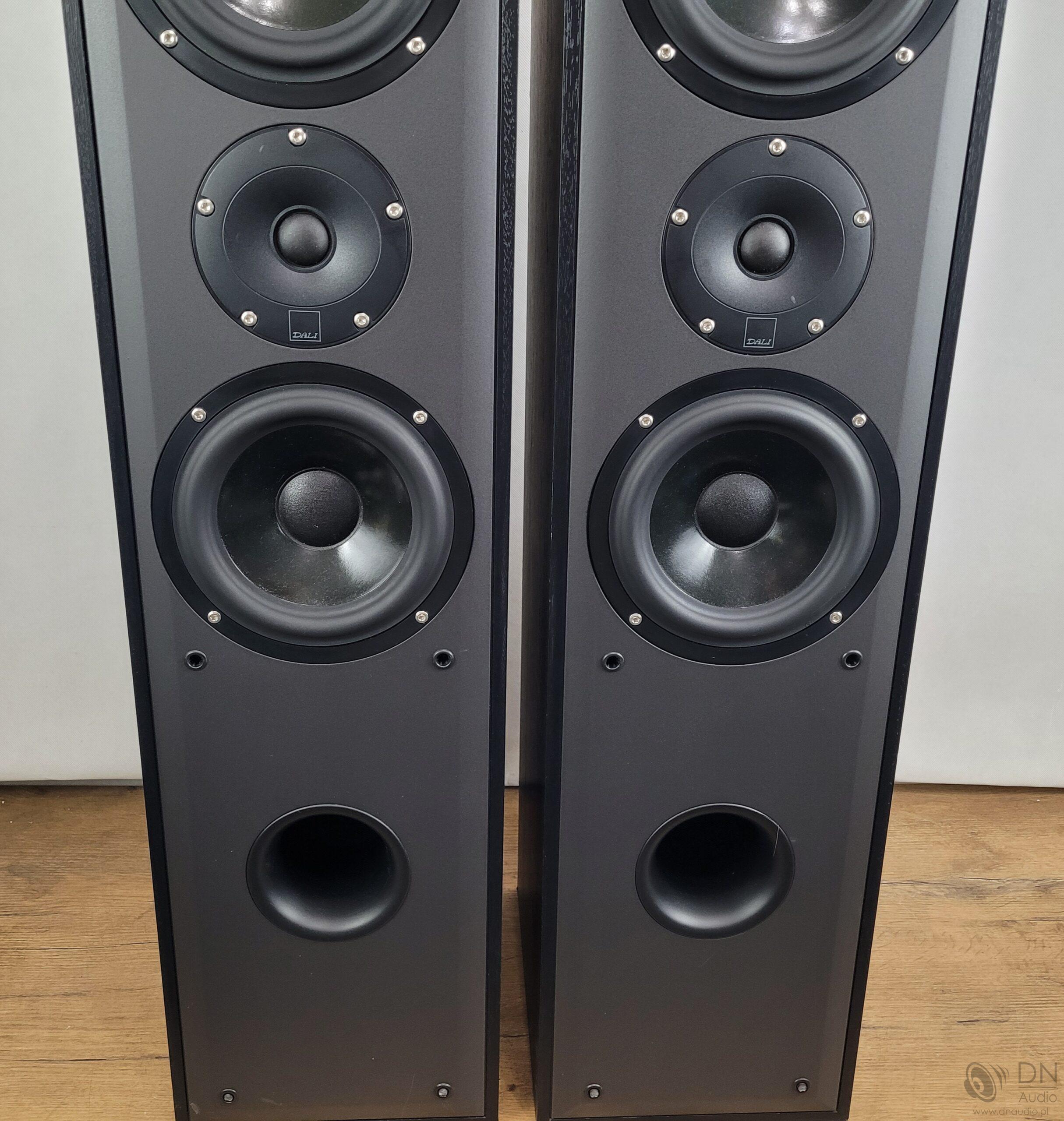 Dali Blue 5005 - obrazek 8