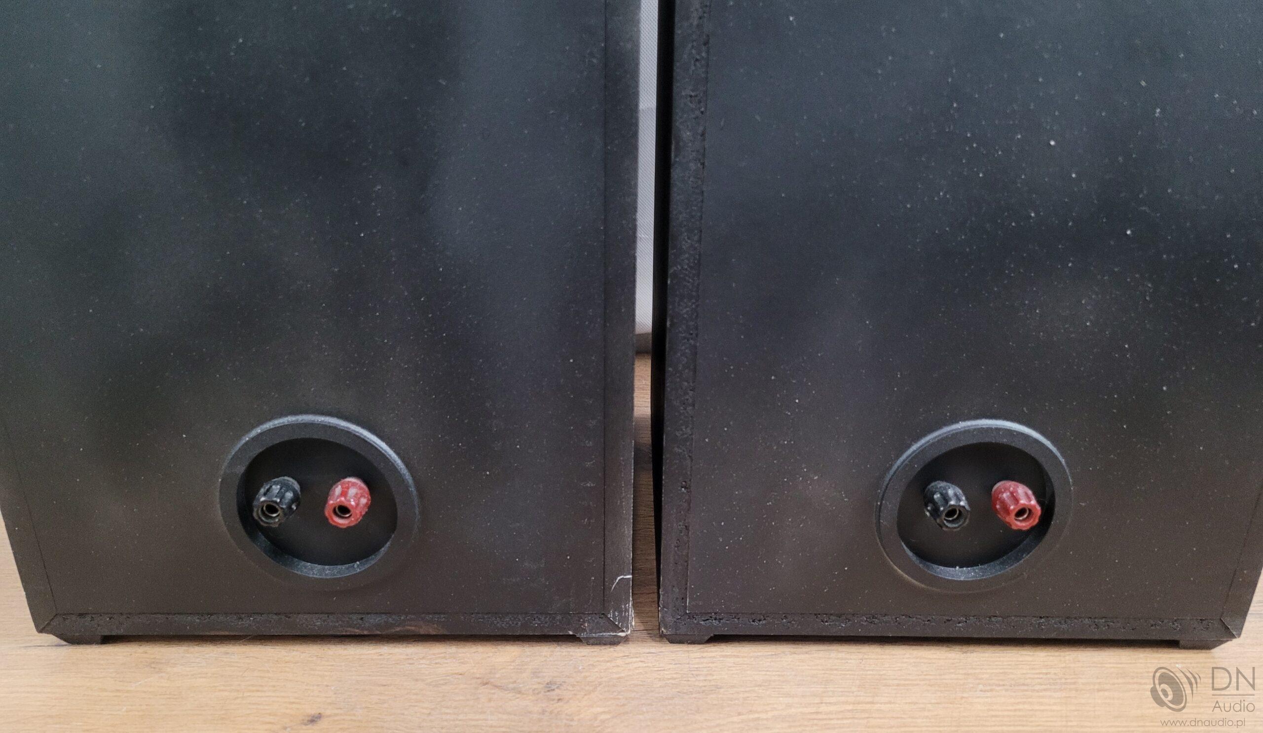 Dynaudio Concert - obrazek 13